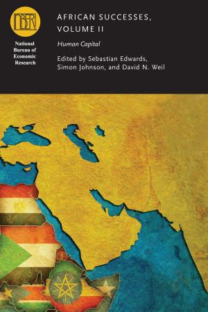 Cover of the book African Successes, Volume II by Susan Schulten