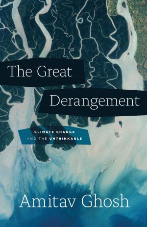 Cover of the book The Great Derangement by Jessa Crispin