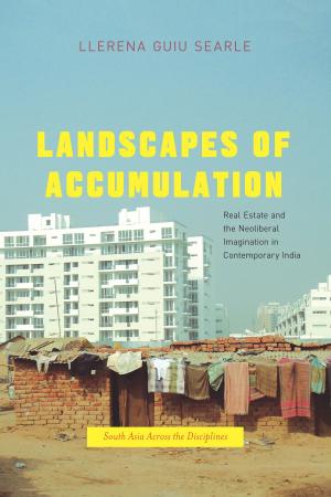 Book cover of Landscapes of Accumulation
