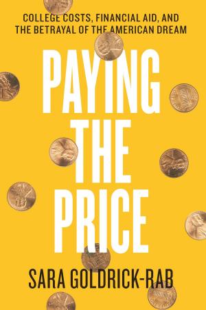 Cover of the book Paying the Price by Michael Gallope