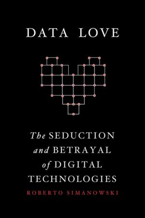 Cover of the book Data Love by Joseph Margolis