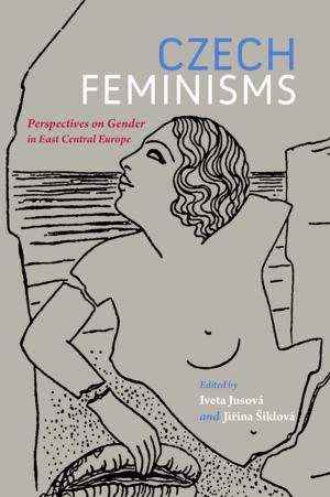 Cover of the book Czech Feminisms by Joe Taft, Stephen D McCloud