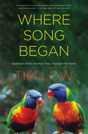 Cover of the book Where Song Began by Richard C. Levin