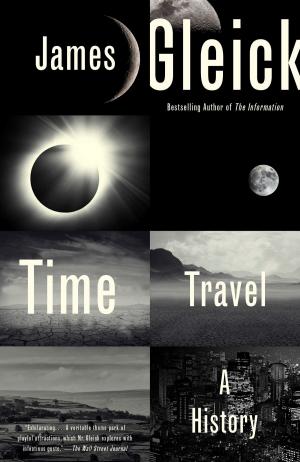 Cover of the book Time Travel by Emily Bernard