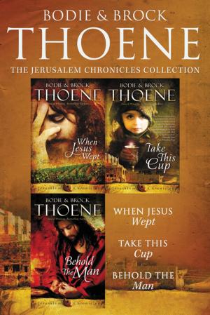 Book cover of The Jerusalem Chronicles
