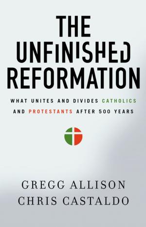Book cover of The Unfinished Reformation