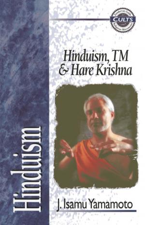 bigCover of the book Hinduism, TM, and Hare Krishna by 