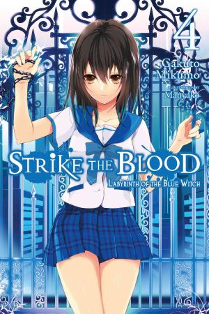 Cover of the book Strike the Blood, Vol. 4 (light novel) by Satoshi Wagahara, Akio Hiiragi