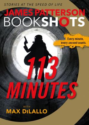 Cover of the book 113 Minutes by Lisa Ann Gallagher