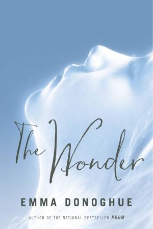bigCover of the book The Wonder by 