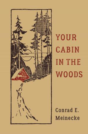 Cover of the book Your Cabin in the Woods by Cori McCarthy