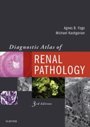 Cover of the book Diagnostic Atlas of Renal Pathology E-Book by Heike Lutzeyer