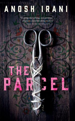 Cover of the book The Parcel by Rudy Wiebe