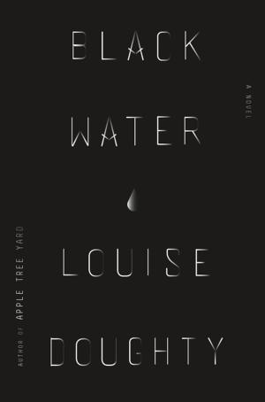 Cover of the book Black Water by Jonathan Franzen