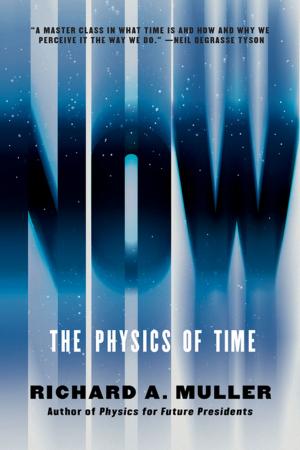 Cover of Now: The Physics of Time