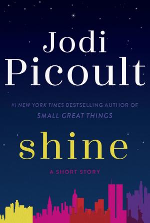 Cover of the book Shine (Short Story) by Jennifer Arnold