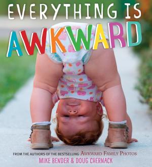Cover of the book Everything Is Awkward by Amelia Atwater-Rhodes