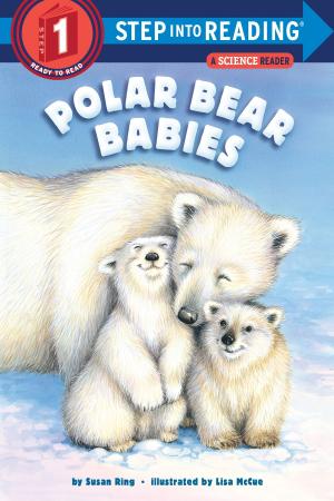 Cover of the book Polar Bear Babies by Peter Dickinson