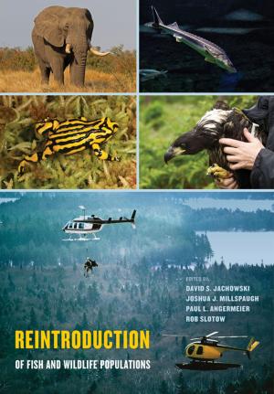 bigCover of the book Reintroduction of Fish and Wildlife Populations by 
