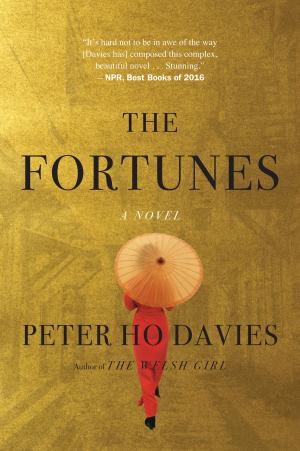 Cover of the book The Fortunes by Alison Oliver