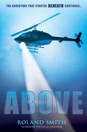Cover of the book Above by Ed Masessa
