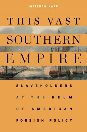 Cover of the book This Vast Southern Empire by Olivier Wieviorka