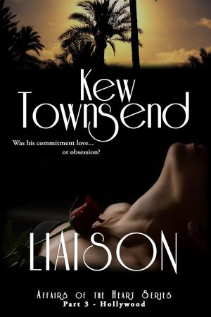 Cover of the book Liaison (Part 3) by Meg Allison