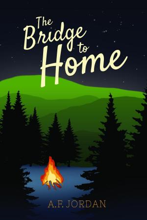 Cover of the book The Bridge to Home by AC Bextor