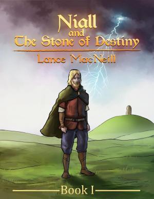 Cover of the book Niall and the Stone of Destiny by Justin Mermelstein