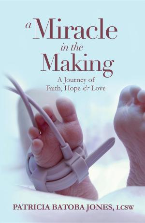 Book cover of A Miracle in the Making