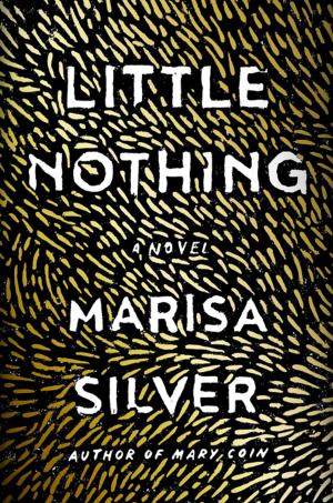 Cover of the book Little Nothing by Virginia Kantra