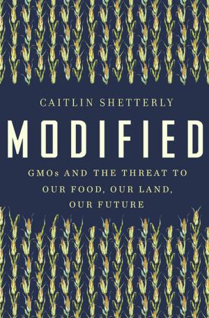 Book cover of Modified