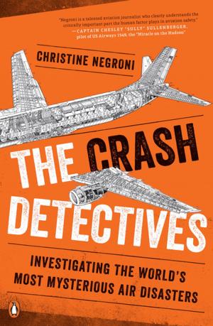 bigCover of the book The Crash Detectives by 