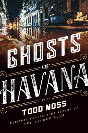 Cover of the book Ghosts of Havana by David E. Meadows