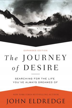 Cover of the book The Journey of Desire by Richard Stearns