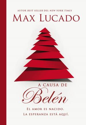 Cover of the book A causa de Belén by John C. Maxwell