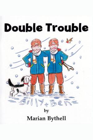 Cover of the book Double Trouble by Merv Lambert