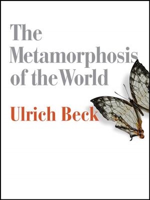 Cover of the book The Metamorphosis of the World by Bouchaib Radi, Abdelkhalak El Hami