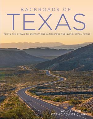 Cover of the book Backroads of Texas by Max Hastings