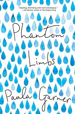 Cover of the book Phantom Limbs by Liz Kessler