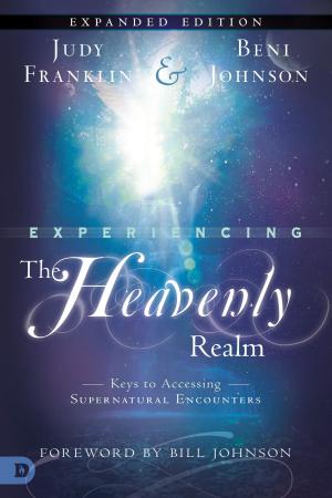 Book cover of Experiencing the Heavenly Realms Expanded Edition