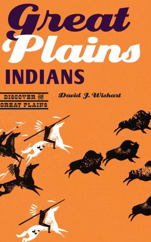 Cover of the book Great Plains Indians by William H. Beezley