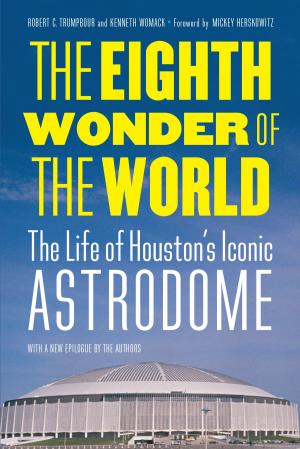 Book cover of The Eighth Wonder of the World
