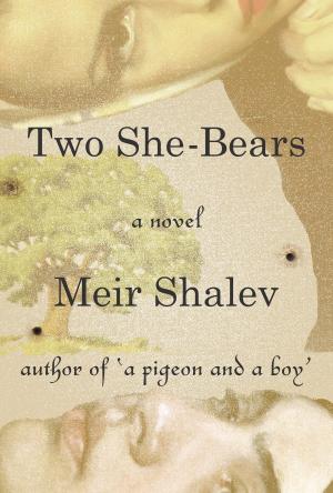 Book cover of Two She-Bears