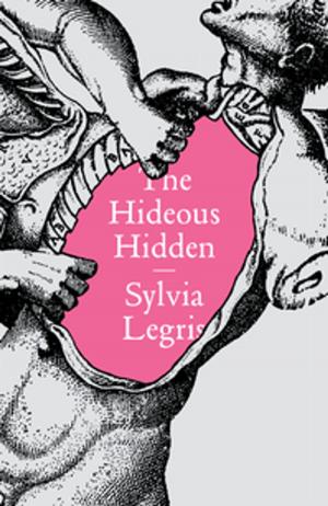 Cover of the book The Hideous Hidden by Ezra Pound