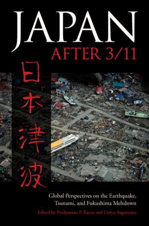 Cover of the book Japan after 3/11 by Albert W. A. Schmid