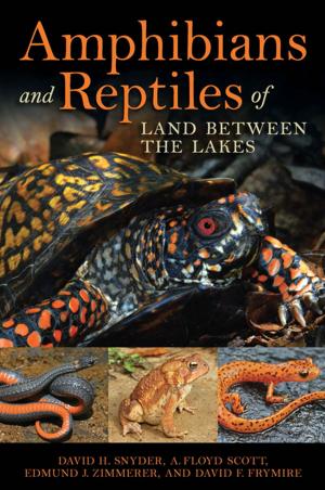 Book cover of Amphibians and Reptiles of Land Between the Lakes