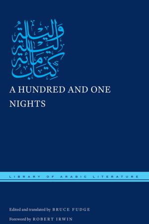 Cover of the book A Hundred and One Nights by Geert Jan Van Gelder