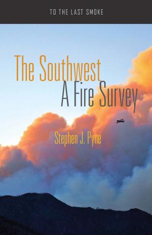 Cover of the book The Southwest by Bryan Allen Fierro