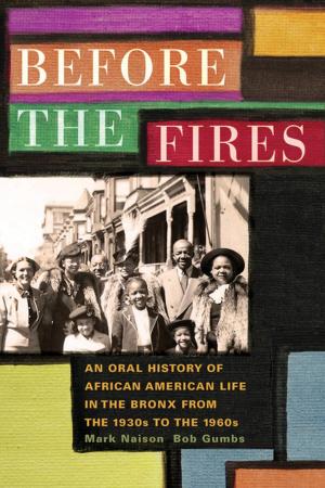 Cover of the book Before the Fires by 